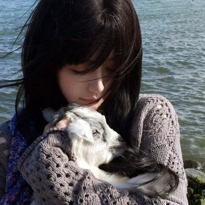 猫咪马汀